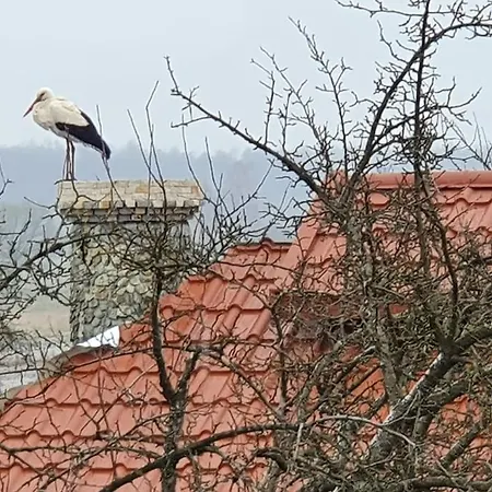 Ducka Wola 10 - Cichy Zakatek, Sielanka Na Wsi *