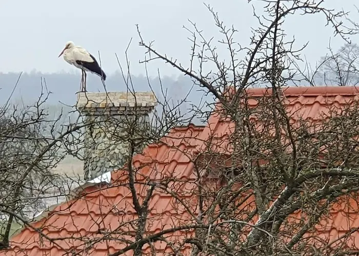 Ducka Wola 10 - Cichy Zakatek, Sielanka Na Wsi *